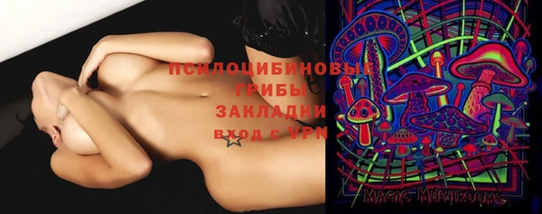 хмурый Алексин