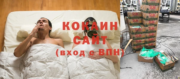 хмурый Алексин