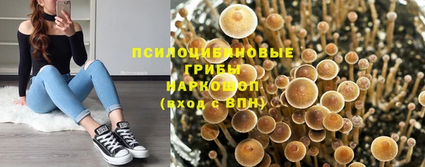 сатива Алексеевка
