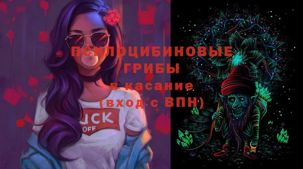 хмурый Алексин