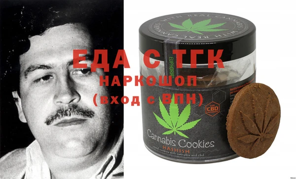 хмурый Алексин