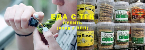 хмурый Алексин